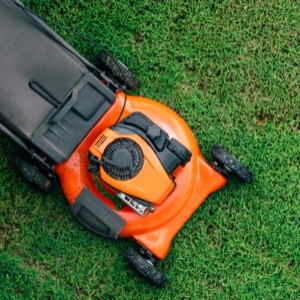 edmonton and st albert lawn mowing services