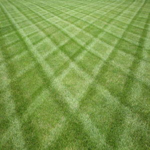 beautiful edmonton and st albert lawn striping